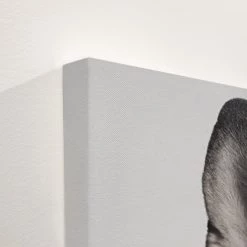 L ART Wall Art "WEIRD DOG" CANVAS ART 7 L ART Wall Art