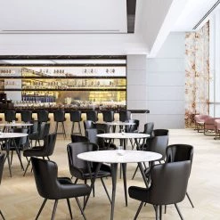 ZUO DRESDEN DINING CHAIR | SET OF 2