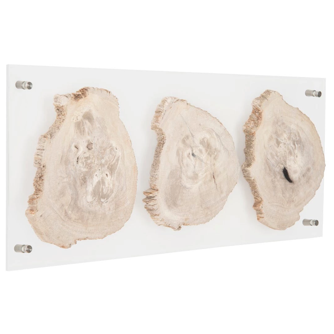 PHILLIPS COLLECTION Wall Sculptures + Decor FLOATING PERTRIFIED TRIPLE SLICE WALL ART 4 PHILLIPS COLLECTION Wall Sculptures + Decor FLOATING PERTRIFIED TRIPLE SLICE WALL ART