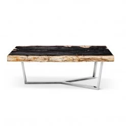 URBIA MASSO PETRIFIED WOOD SLAB COFFEE TABLE: DARK