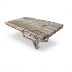 URBIA MASSO PETRIFIED WOOD SLAB COFFEE TABLE: LIGHT Furniture
