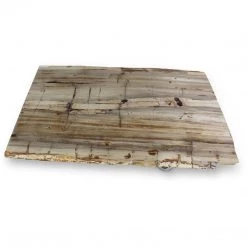 URBIA MASSO PETRIFIED WOOD SLAB COFFEE TABLE: LIGHT Furniture