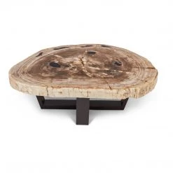 URBIA VALERIE PETRIFIED WOOD SLICE COFFEE TABLE: LIGHT Furniture