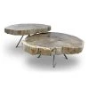 URBIA Furniture LASTRA PETRIFIED WOOD NESTING COFFEE TABLES: LIGHT