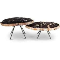 URBIA LASTRA PETRIFIED WOOD NESTING COFFEE TABLES: DARK Furniture