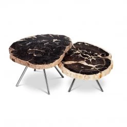 URBIA LASTRA PETRIFIED WOOD NESTING COFFEE TABLES: DARK Furniture