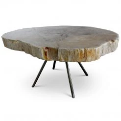 URBIA Furniture LASTRA PETRIFIED WOOD NESTING COFFEE TABLES: LIGHT