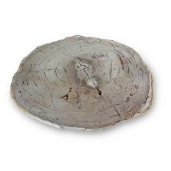 URBIA ELIZA PETRIFIED WOOD COFFEE TABLE: LIGHT Furniture