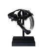 PHILLIPS COLLECTION SABER TOOTH SKULL SCULPTURE: BLACK, SILVER Pillows + Decor