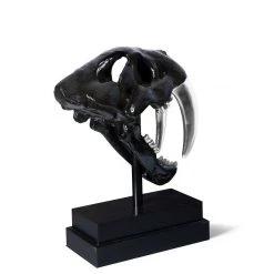 PHILLIPS COLLECTION SABER TOOTH SKULL SCULPTURE: BLACK, SILVER Pillows + Decor