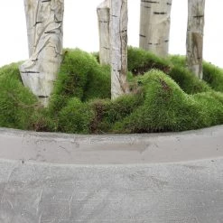 UTTERMOST ALDI POTTED RIVER BIRCH Pillows + Decor