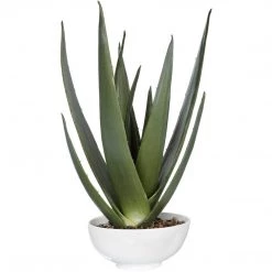 UTTERMOST Pillows + Decor ALOE VERA ACCENT