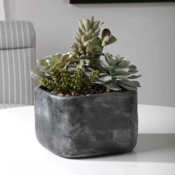 UTTERMOST Pillows + Decor ALVERIO SUCCULENTS