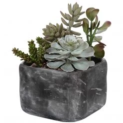 UTTERMOST Pillows + Decor ALVERIO SUCCULENTS