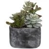 UTTERMOST Pillows + Decor ALVERIO SUCCULENTS