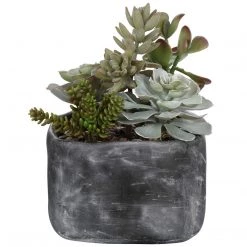 UTTERMOST Pillows + Decor ALVERIO SUCCULENTS
