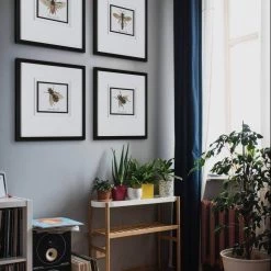 UTTERMOST "ANTHOPHILA" GLASS FRAMED PRINTS | SET OF 4 8 UTTERMOST