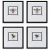 UTTERMOST "ANTHOPHILA" GLASS FRAMED PRINTS | SET OF 4