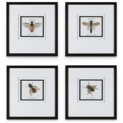 UTTERMOST "ANTHOPHILA" GLASS FRAMED PRINTS | SET OF 4