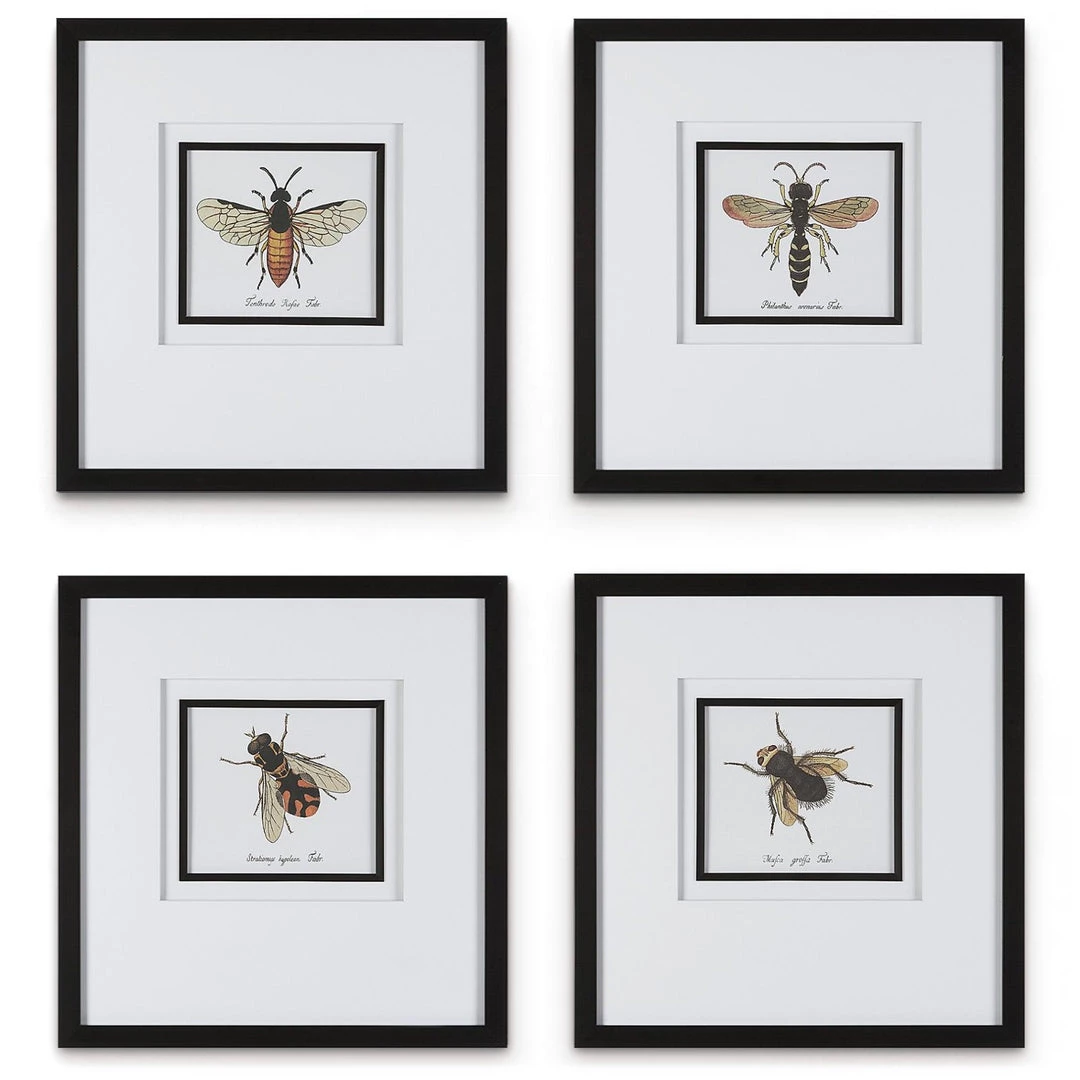 UTTERMOST "ANTHOPHILA" GLASS FRAMED PRINTS | SET OF 4 1 UTTERMOST "ANTHOPHILA" GLASS FRAMED PRINTS | SET OF 4