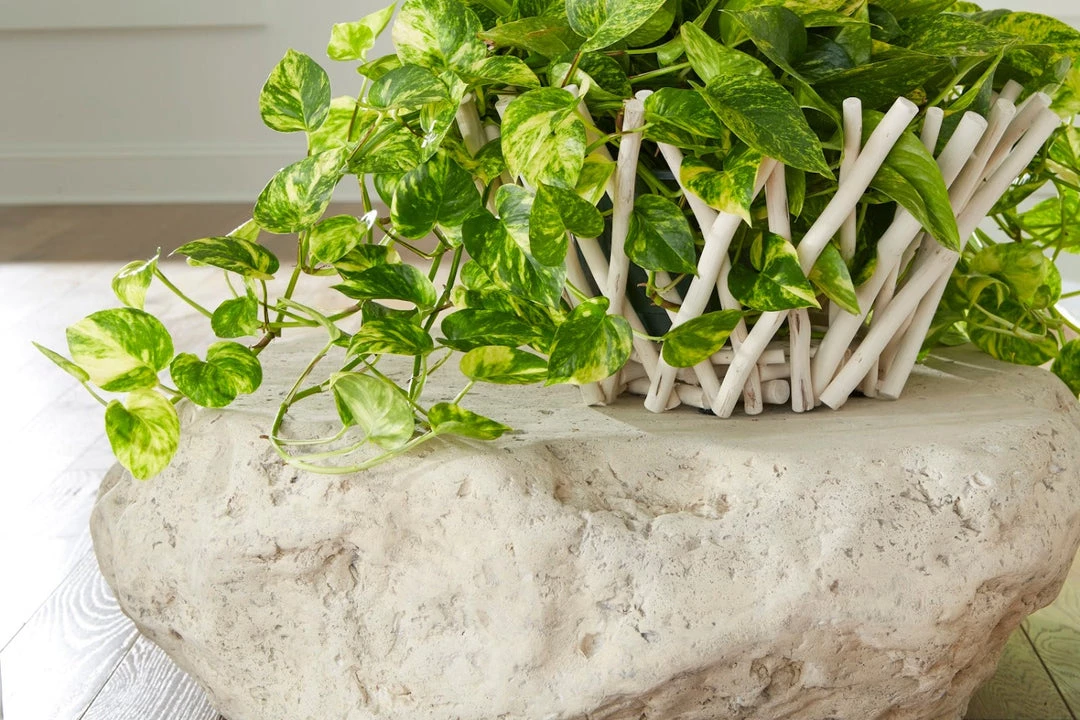 PHILLIPS COLLECTION NATURAL STICK BOWL Accessories 4 PHILLIPS COLLECTION NATURAL STICK BOWL Accessories