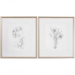 UTTERMOST Wall Art "BOTANICAL SKETCHES" GLASS FRAMED PRINTS | SET OF 2