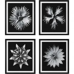 UTTERMOST Wall Art "CONTEMPORARY FLORET" GLASS FRAMED PRINTS | SET OF 4