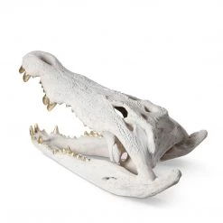 PHILLIPS COLLECTION CROCODILE SKULL SCULPTURE: WHITE, GOLD