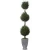 UTTERMOST Pillows + Decor CYPRESS TRIPLE TOPIARY
