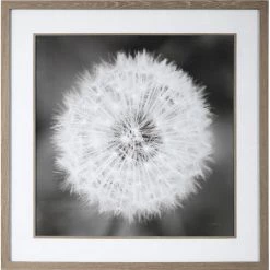UTTERMOST "DANDELION SEEDHEAD" GLASS FRAMED PRINT