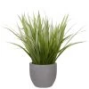 UTTERMOST DRACAENA GRASS IN CONCRETE PLANTER Pillows + Decor