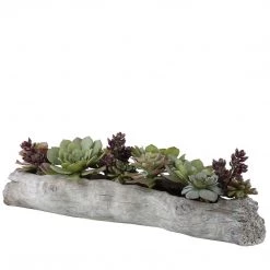 UTTERMOST DRIFTWOOD LOG SUCCULENT CENTERPIECE