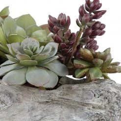 UTTERMOST DRIFTWOOD LOG SUCCULENT CENTERPIECE