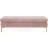 TOV Living Room ETTA BLUSH VELVET BENCH