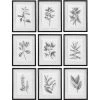 UTTERMOST Wall Art "FARMHOUSE FLORALS" BLACK+WHITE GLASS FRAMED PRINTS | SET OF 9