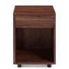MOES JORY WALNUT NIGHTSTAND