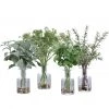 UTTERMOST KITCHEN HERBS BOTANICAL COLLECTION | SET OF 4 Pillows + Decor