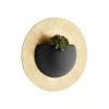 CYAN LE CIRC GILDED WALL PLANTER