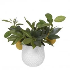 UTTERMOST Pillows + Decor LEMON PLANT BOTANICAL ACCENT