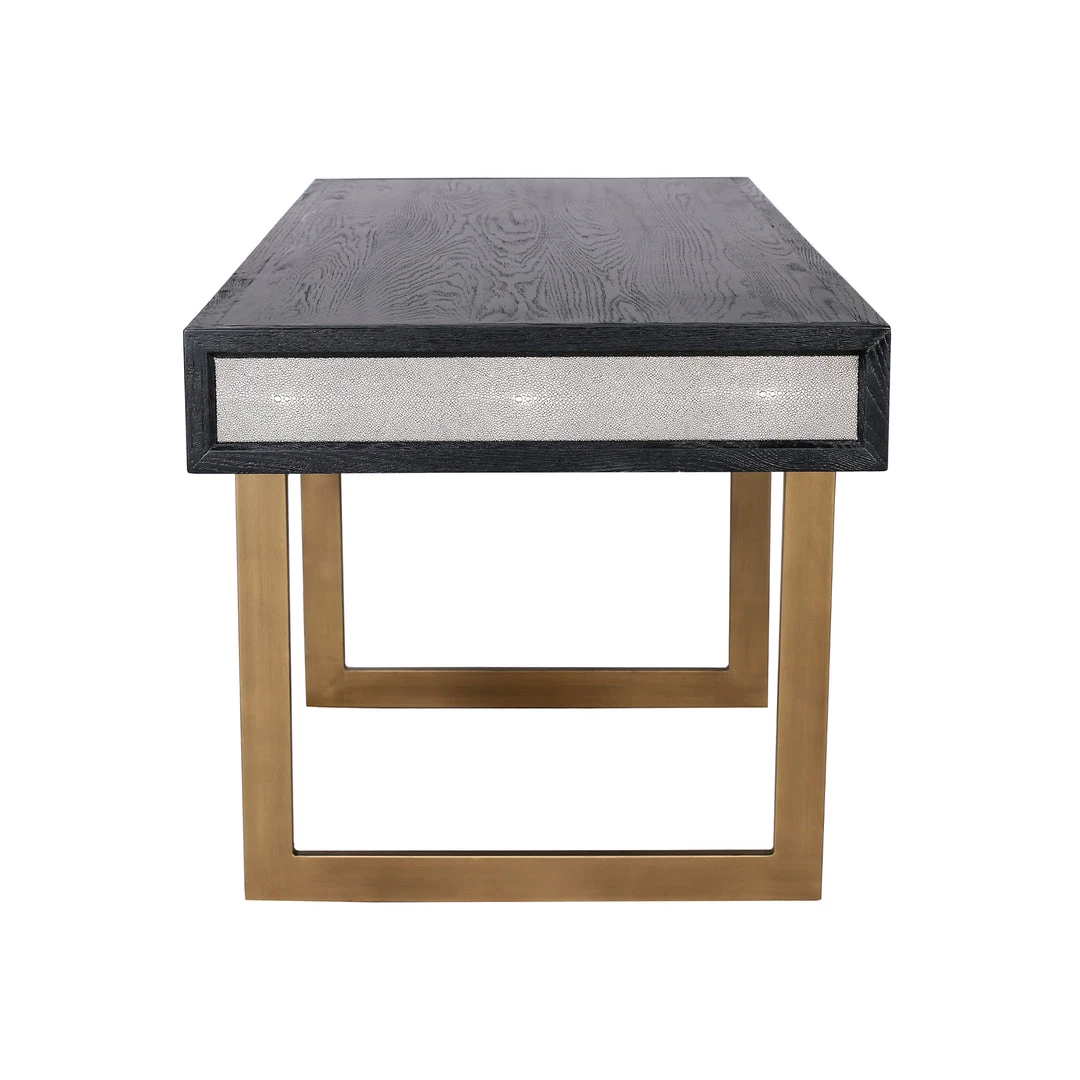 MOES MAKO SHAGREEN DESK 5 MOES MAKO SHAGREEN DESK