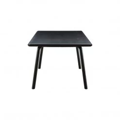 MOES MALIBU DINING TABLE: BLACK ASH Furniture