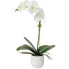 UTTERMOST ORCHID BOTANICAL IN WHITE CERAMIC POT