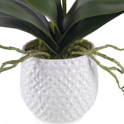 UTTERMOST ORCHID BOTANICAL IN WHITE CERAMIC POT