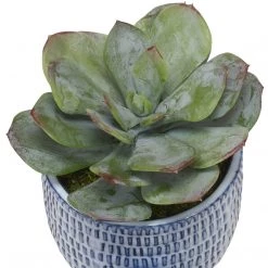 UTTERMOST PUEBLA GREENERY IN BLUE & WHITE CERAMIC PLANTERS