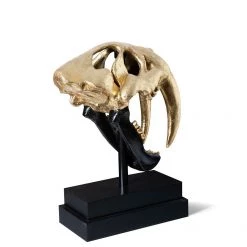 PHILLIPS COLLECTION Pillows + Decor SABER TOOTH SKULL SCULPTURE: BLACK, GOLD