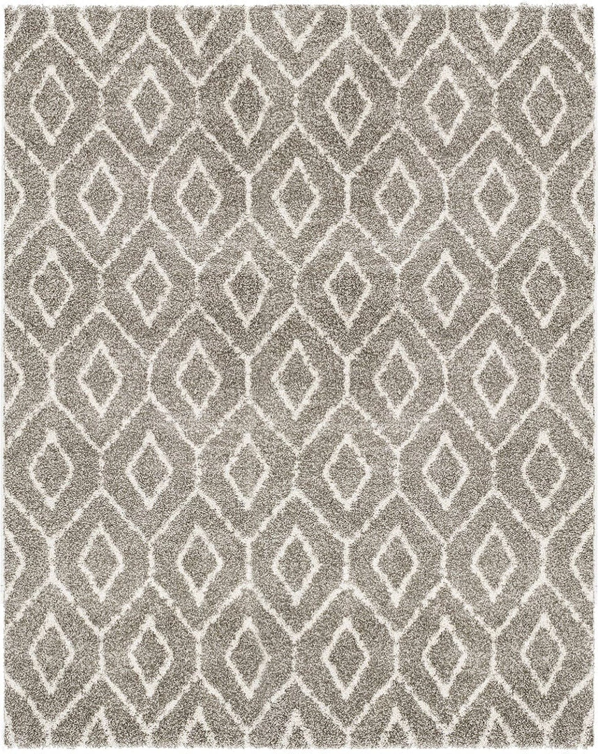 SURYA JENDAY SHAG: TAUPE Rug 1 SURYA JENDAY SHAG: TAUPE Rug