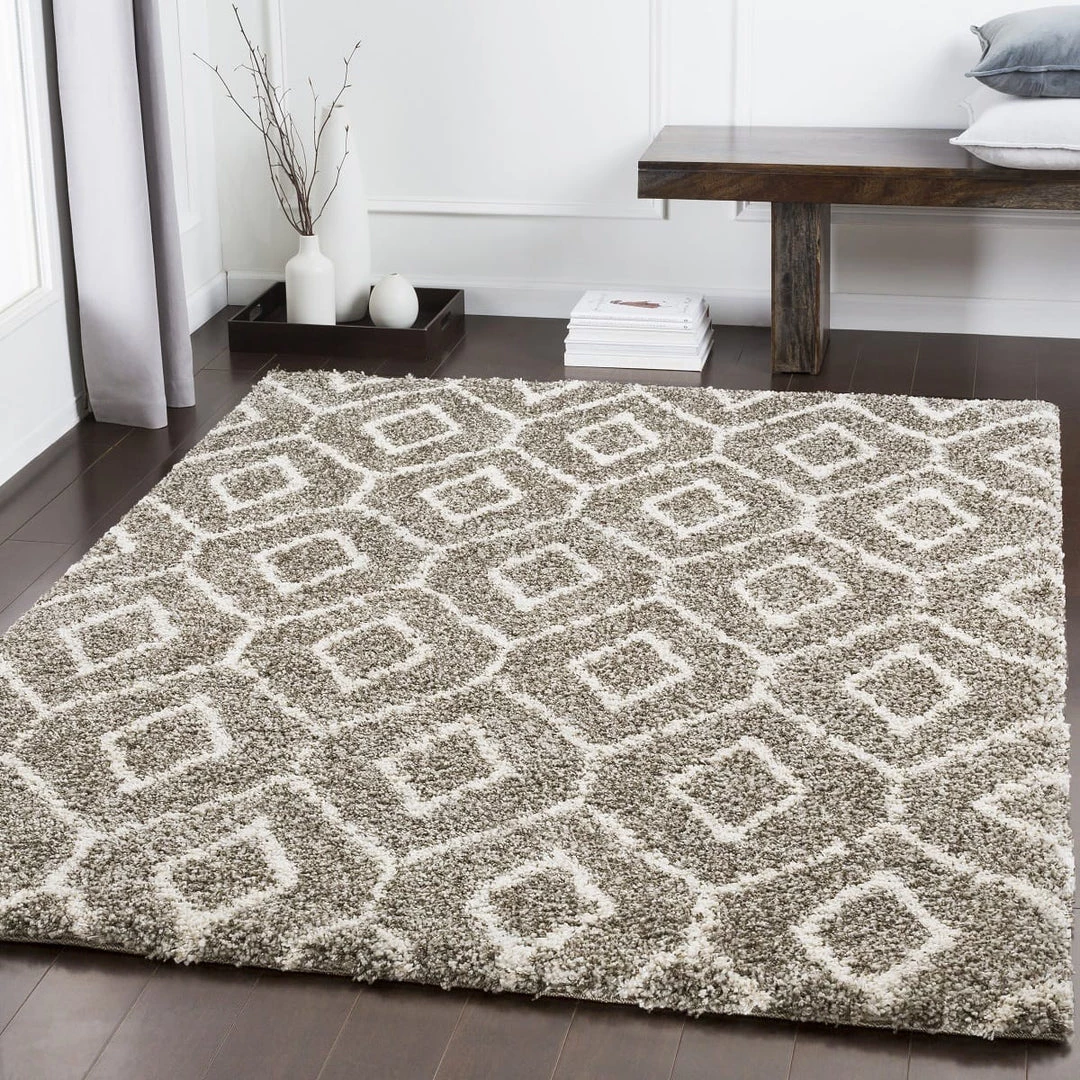 SURYA JENDAY SHAG: TAUPE Rug 3 SURYA JENDAY SHAG: TAUPE Rug
