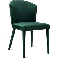TOV Kitchen + Dining UMA VELVET SIDE CHAIR