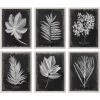 UTTERMOST "VINTAGE FOLIAGE" GLASS FRAMED PRINTS | SET OF 6