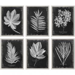 UTTERMOST "VINTAGE FOLIAGE" GLASS FRAMED PRINTS | SET OF 6
